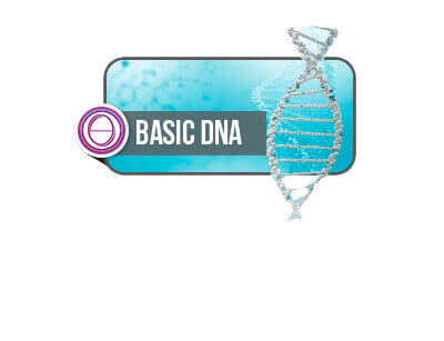 Базовый ДНК курс